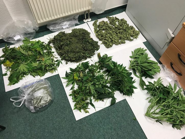 In der durchsuchten Wohnung fanden die Polizisten eine groß angelegte Marihuanazucht. Fotos: Polizei