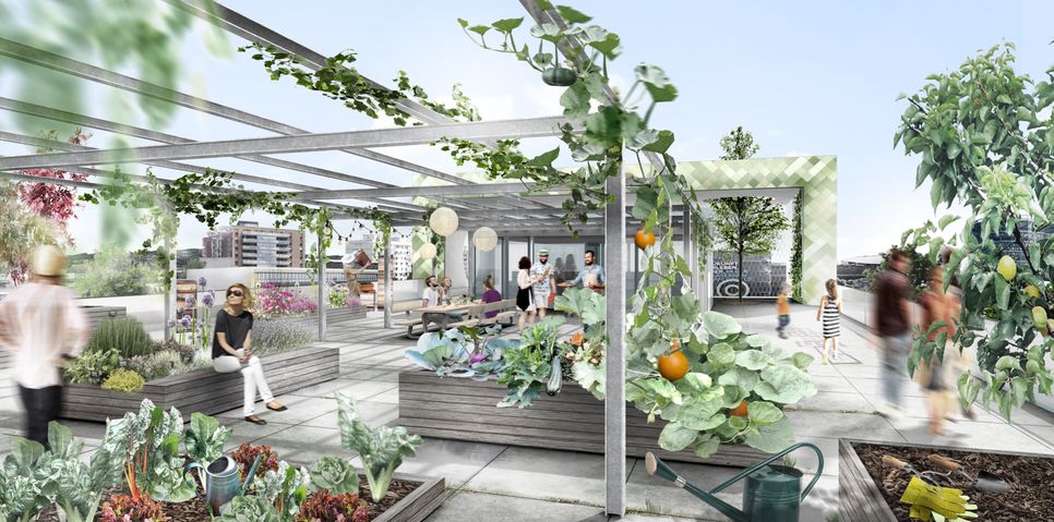 Visualisierung: Dachterrasse / Visus: ImmVest Wolf GmbH