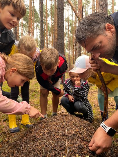 Andreas Strauß (Pädagogischer Mitarbeiter vom Naturschutzverein Großgemeinde Kolkwitz e.V.) war mit den Schülern im Kolkwitzer Wald unterwegs. Am Ameisenhaufen erfuhren die Schüler, wie wichtig die nützlichen Helfer für den Wald sind.