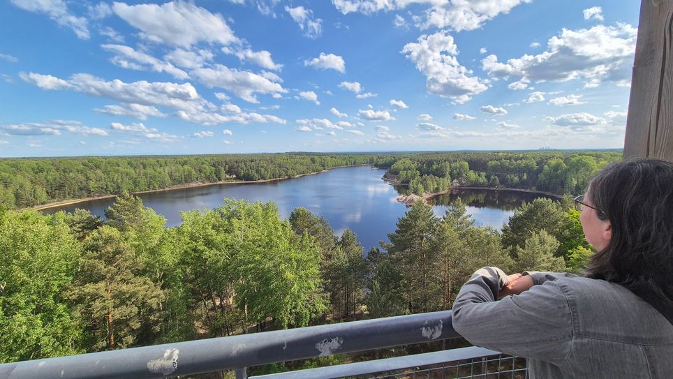 Der so genannte »Elefantenrücken« im See »Afrika« - einer der bizarren Blicke im Gebiet der Alten Grube Babina ca. 10 km hinter dem Grenzübergang Bad Muskau nahe dem polnischen Leknica.