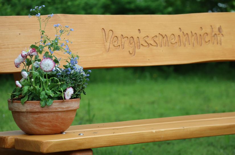 Die Bank soll an die Vergissmeinnicht-Pflanzaktion erinnern.