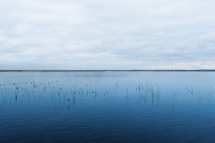 Ansicht vom Standort Teichland. Foto: LEAG