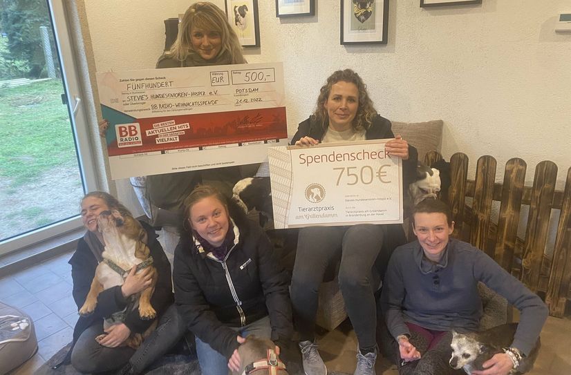 Eine Spende als Weihnachtsüberraschung  (v.l.n.r.): Vanessa Leistikow (Auszubildende Tiermedizinische Fachangestellte, BB RADIO-Moderatorin Marlitt, Scarlett Ihlow (Tiermedizinische Fachangestellte), Tierärztin Anke Reipert, Stephanie Badura, Vorsitzende von »Stevie&apos;s Hundesenioren-Hospiz e.V.«.