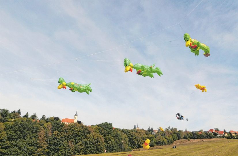 Buntes Treiben am Himmel über der Drachenwiese.