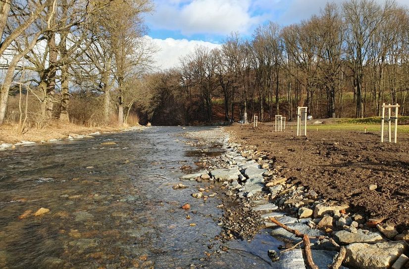 Die Umgestaltung des Wehres in Hörnitz und des Mühlgrabens in Zittau haben rund fünf Monate gedauert.