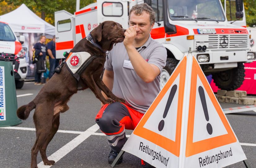 Die Rettungshundestaffel zeigt am 1. Juni ebenfalls, was sie alles drauf hat.