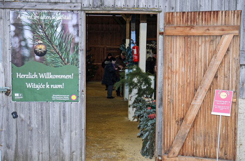 Im alten Schafstall auf dem Hof der Biosphärenreservatsverwaltung wird es wieder besinnlich.