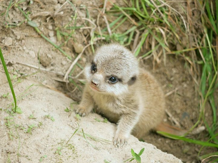 Fotos: Zoo Hoyerswerda