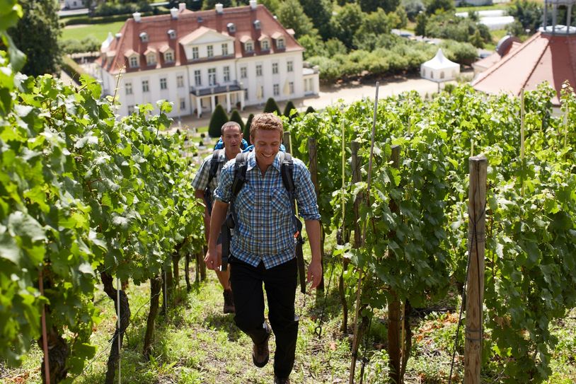 Unter dem Motto „Musik – Licht – Natur“ begrüßt der Förderverein der Dresdner Philharmonie am 24. August um 19 Uhr seine Gäste auf Schloss Wackerbarth zu einem stimmungsvollen Sommerabend mit dem Dresdner Salonorchester, philharmonischer Kammermusik und Tanz inmitten der barocken Anlage. Foto: Schloss Wackerbarth