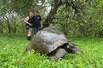 Unglaubliche Flora und Fauna der Galapagos Inseln.