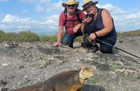 Unglaubliche Flora und Fauna der Galapagos Inseln.