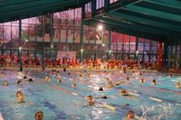 Brandenburgs größtes Breitensportevent im »kühlen Nass«.