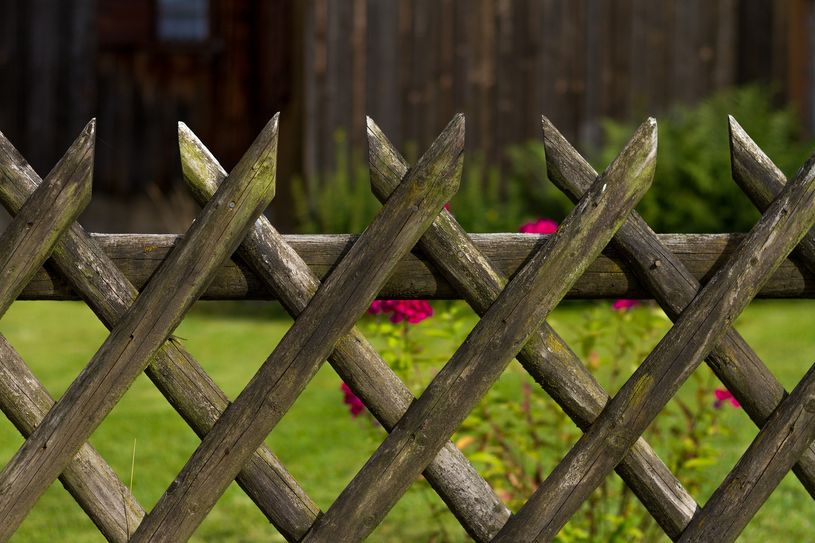 In den Abendstunden des 4. Oktobers kam es in einer Gartensparte in Nünchritz zu einer Auseinandersetzung zwischen Nachbarn. Symbolfoto: pixabay
