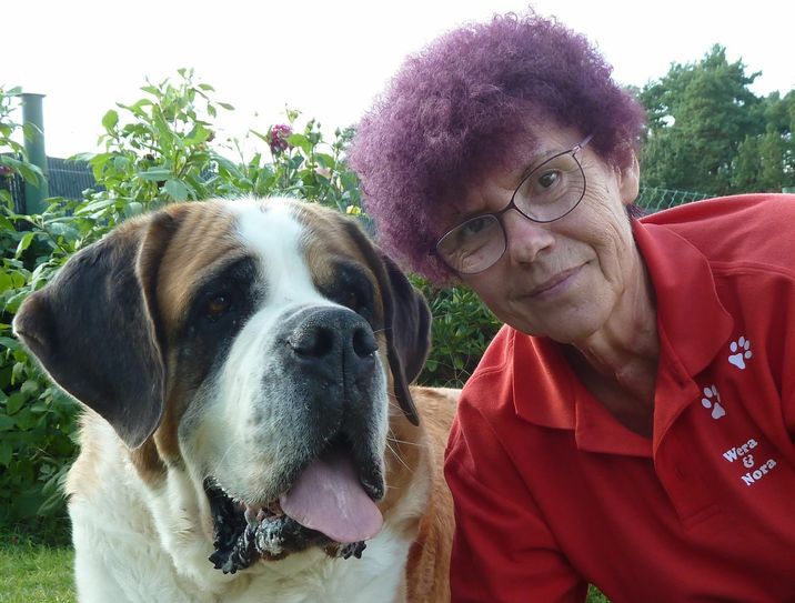 Wera Mader mit Bernhardinerhündin „Nora“. Zuvor hatte sie auch eine mit dem Namen „Yoko“, die 12 Jahre alt wurde. Das ist für eine Riesenrasse ein gigantisches Alter. Auch Nora wird inzwischen bald acht Jahre. „Bernhardiner sind tolle Tiere, die vom Wesen gut in unsere Familie passen“, sagt Wera Mader. „Sie sind urig und gemütlich.“ Foto: FF