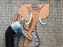 Auf Safari im Dresdner Zoo gibt es etliche spannende Tiere zu entdecken. Fotos: mlh