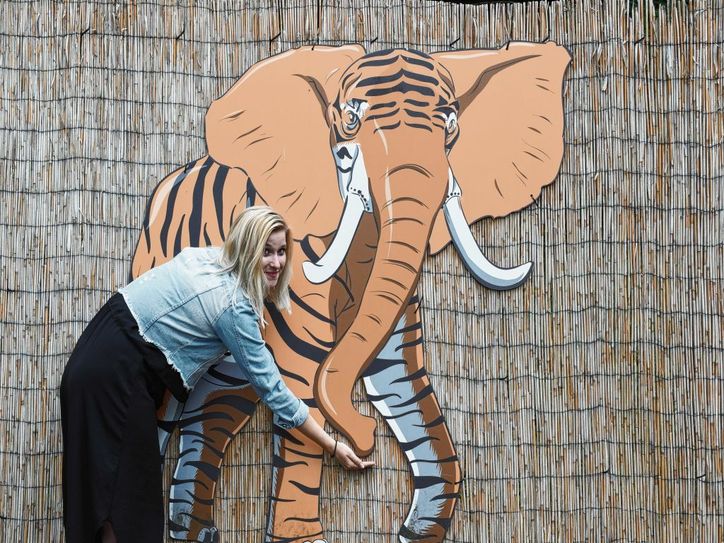 Auf Safari im Dresdner Zoo gibt es etliche spannende Tiere zu entdecken. Fotos: mlh