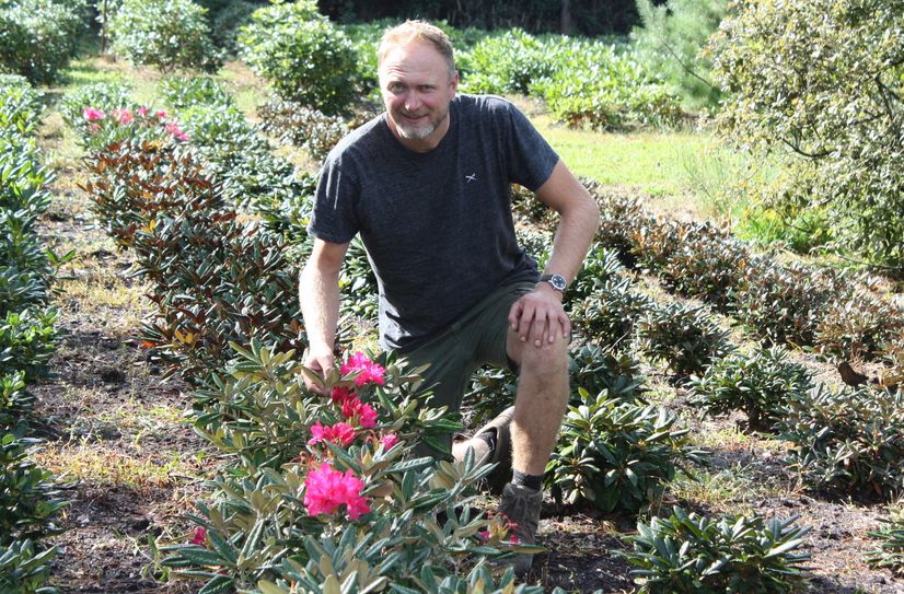 Der Ur.Ur.Enkel des Gründers Rudolf Seidel der Baumschule Seidel in Grüngräbchen bei der Begutachtung von 6 jährigen Rhododendron - Beständen.