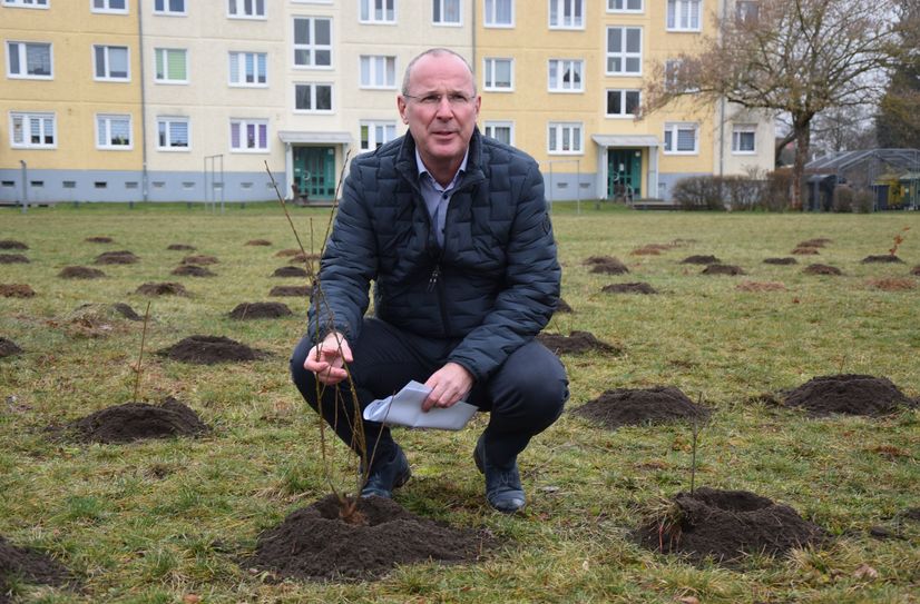 Steffen Markgraf freut sich über den neuen Wald, der im WK VII entstehen wird.