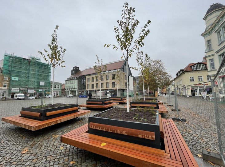 Die neuen Pflanzkübel auf dem Markt – mit Japanischen Zierkirschen und Sitzgelegenheiten.