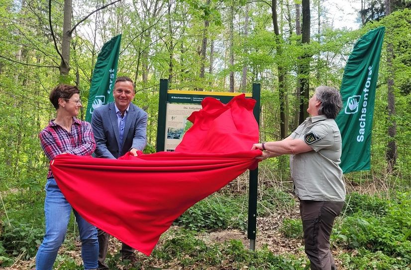 Lehrerin Chris Dittrich von der Grundschule Berggießhübel, Bürgermeister Thomas Peters und Revierleiterin Annett Wehner enthüllen schwungvoll die neue Tafel am Eingang des neuen Waldlehrpfades an der Rasthütte Bethlehemstift.