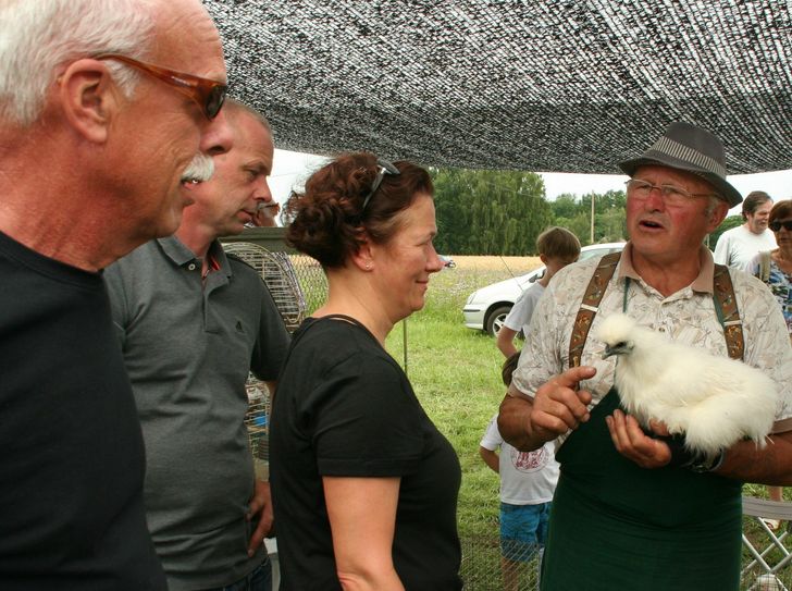 Vereinsvorsitzender Klaus Hockwin zeigte schon beim Historischen Viehmarkt im Juli seine Seidenhühner. Foto: km