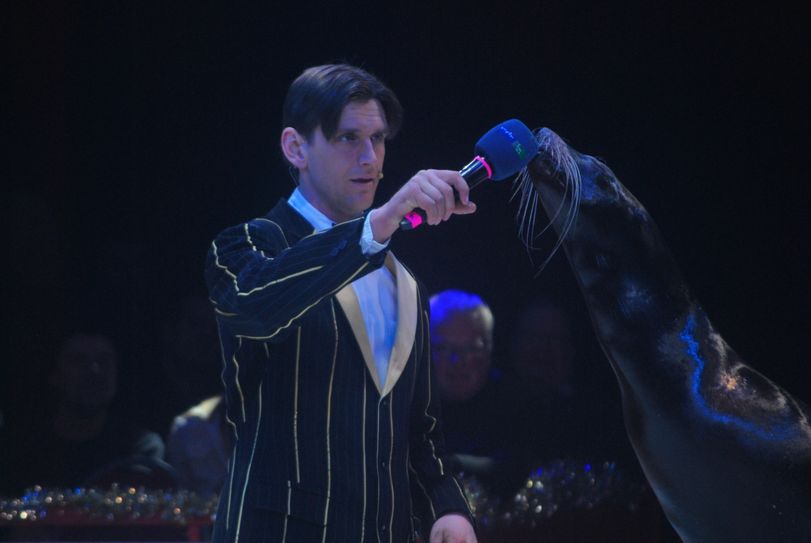 Erwin Frankello mit seinen kalifornischen Seelöwen Itchy und Scartchy (2. Platz beim RTL Supertalent 2015)
