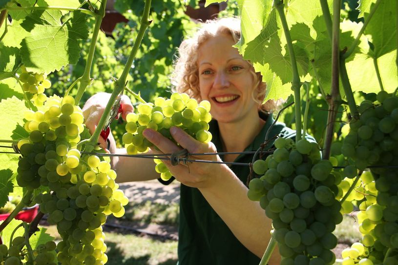Wackerbarth-Kellermeisterin Christiane Spieler im Weinhang. Foto: Peter&Pablo GbR