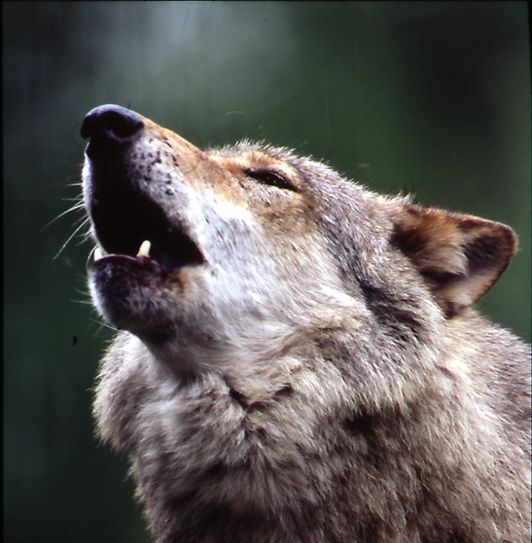 Foto: fotolia