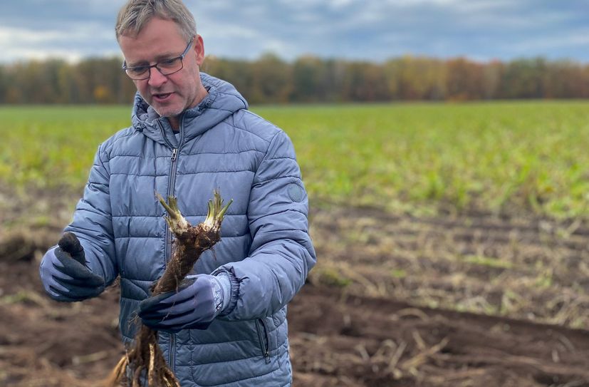 Marcel Mich, Geschäftsführer des Gemüsebaubetriebes »Spreewald«, mit einer ersten Meerrettichprobe.
