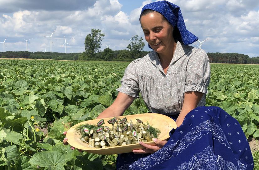Die Gurkenernte im Spreewald ist gestartet. Antje Krischock trägt dazu die passende Arbeitstracht und hat bereits verarbeitete Gurken zum Verkosten in den Händen.