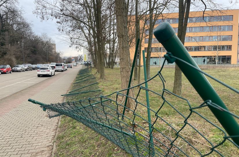 Zerstörter Zaun vom 11. Januar am Riesaer Arbeitsamt.