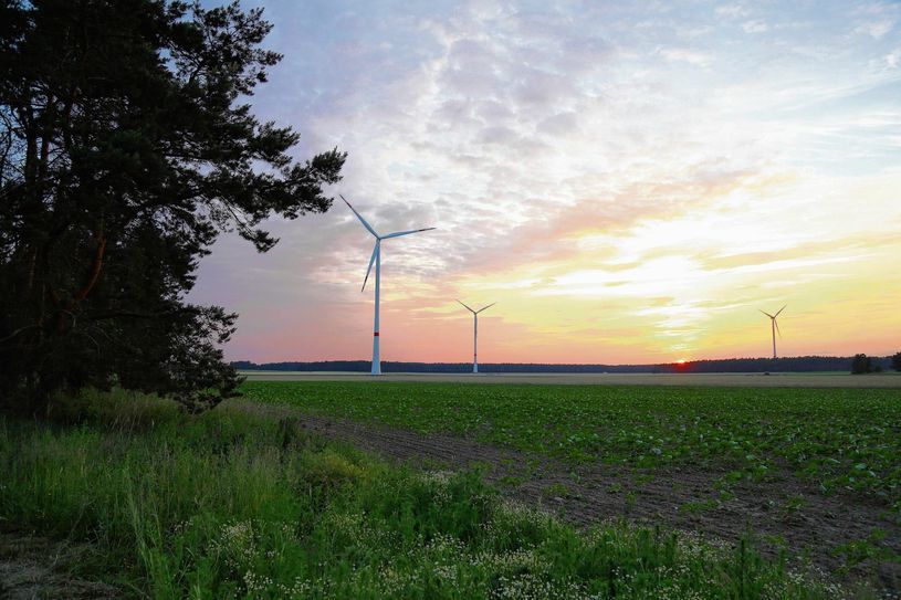 Der Windpark Duben vor den Toren der Stadt Luckau ist einer der größten Parks, den UKA in den letzten Jahren in der Lausitz errichtet hat. Foto: PR/uka