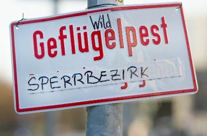 Die Einschränkungen wegen der Vogelgrippe gehen Betrieben, Zoobetreibern und Züchtern mittlerweile an die Substanz. Fotos: msn-Archiv, Farrar