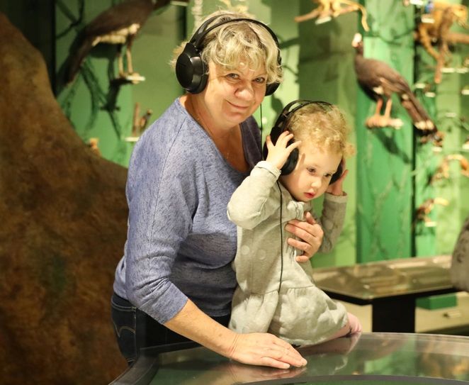 Beim Großeltern-Enkel-Tag können Großeltern mit ihren Enkelkindern das Barockhaus Neißstraße 30, den Kaisertrutz, das Naturkundemuseum und das Schlesische Museum zu Görlitz kostenfrei besuchen. Foto: Stefanie Gloger