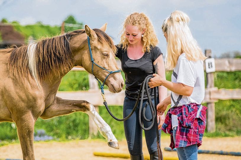 Jessica Hübner (18) hilft als Tierkommunikatorin und Pferdeosteopathin beim „Dolmetschen“ zwischen Pferd und Reiterin.