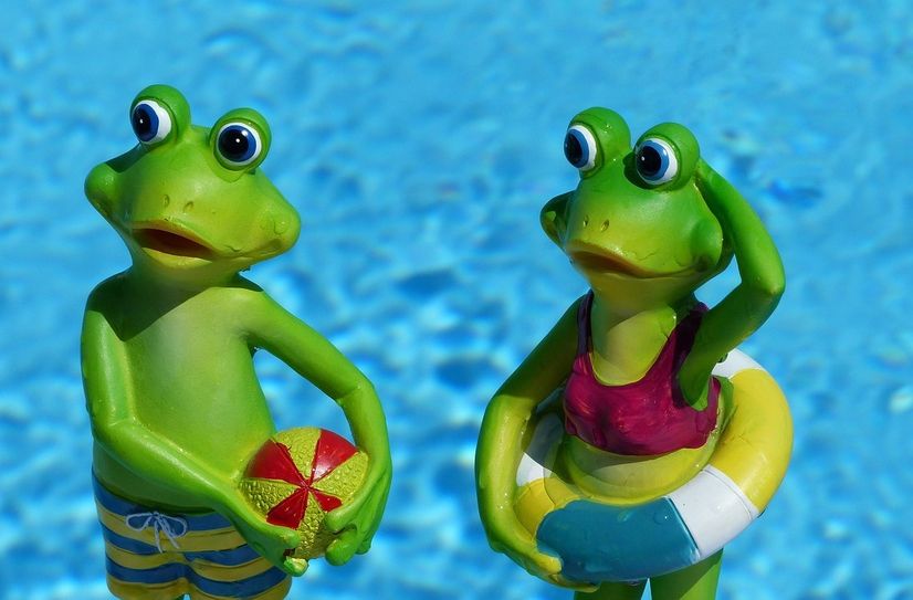 Wasserratten können sich sorglos ins kühle Nass stürzen.