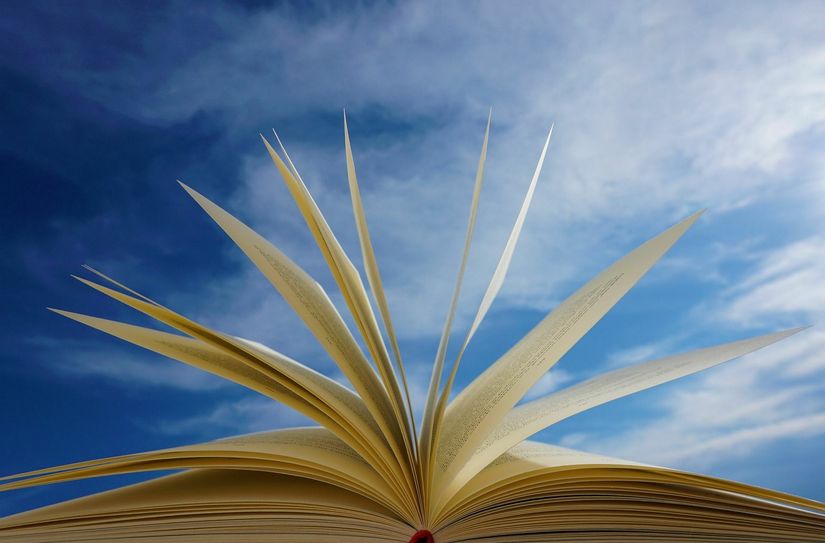 Bücher wollen gelesen werden.