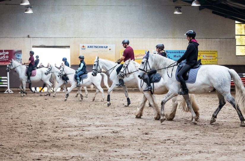 Zur Schimmelparade traten die Kinder aus dem Abteilungsreiten an.