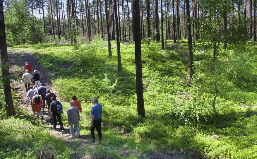 Wanderer im Unesco Geoparks Muskauer Faltenbogen. Foto: Weisflog/PR