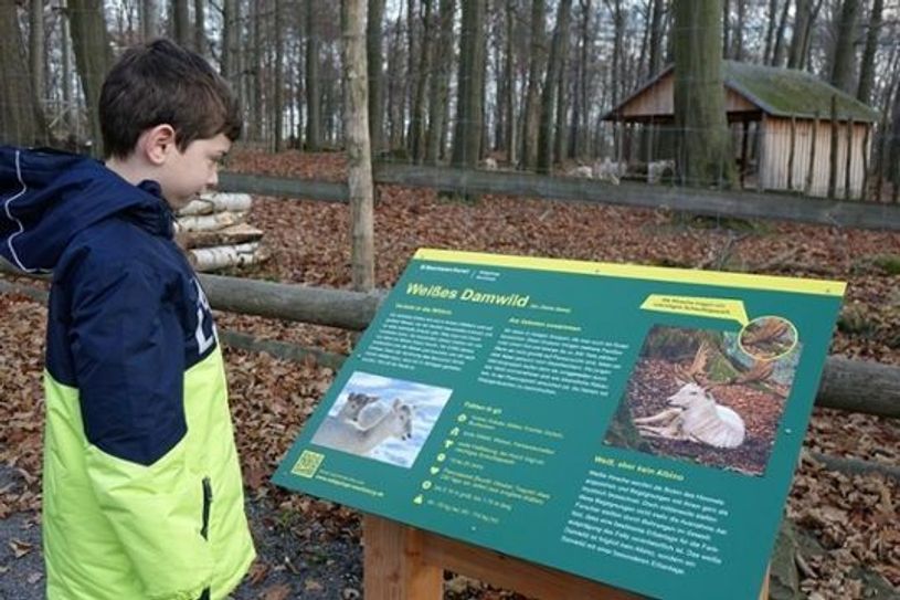 Eine der 36 neuen Informationstafeln im Wildgehege. Foto: Sachsenforst