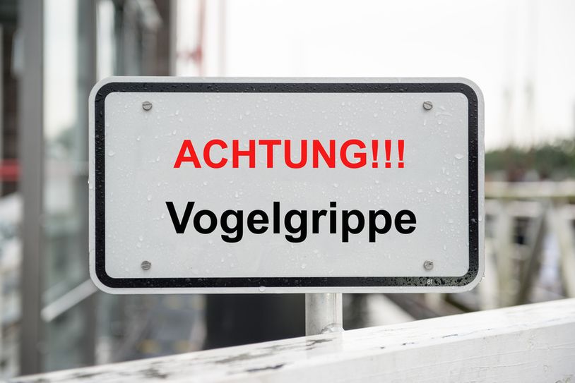 Auch in Forst ist die Vogelgrippe aufgetreten. Foto: fotolia