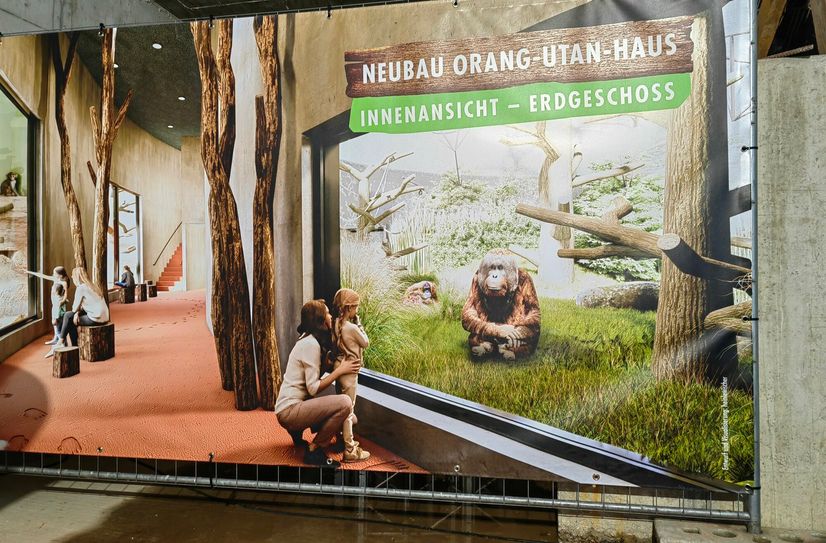 Wie der Rundgang drinnen aussehen könnte, zeigen erste Visualisierungen im Inneren des Rohbaus.