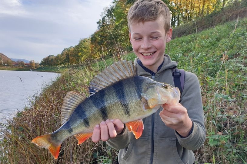 Ben Aubrecht (14) mit einem selbst aus der Elbe gezogenen Großbarsch.