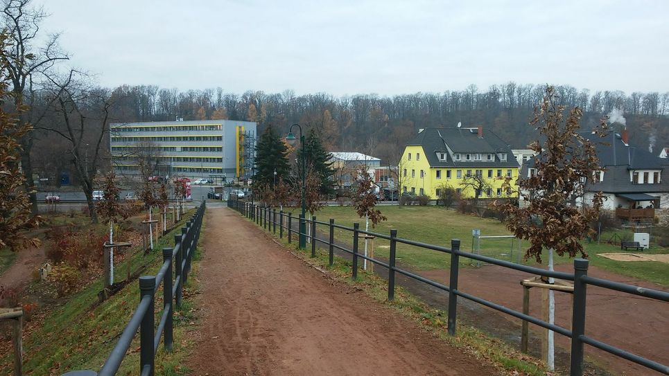 Die Technikum-Allee mit den neuen Zerreichen. Foto: PR