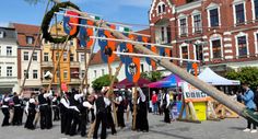 Mit Kraft und Geschick wurde der Maibaum in die Höhe gewuchtet.