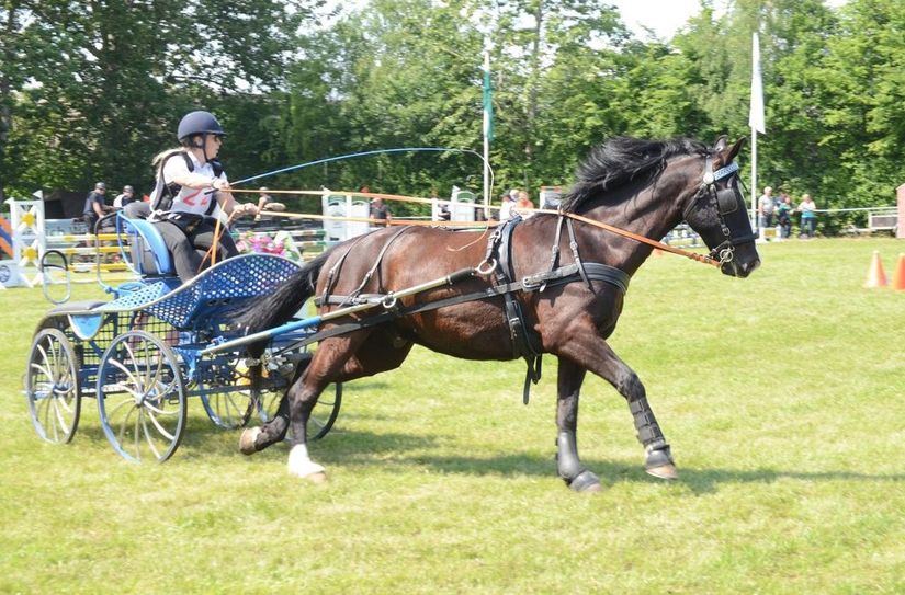 Rasante Gespanne messen sich auf dem Gräfendorf Vereinsplatz im Parcours.