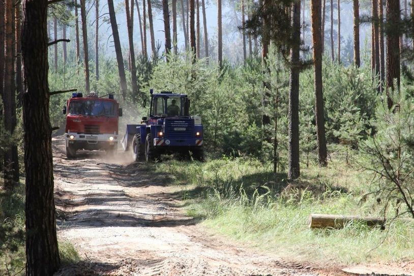 Das THW muss die sandigen Wege für die Befahrung mit den tonnenschweren Löschfahrzeugen ständig ausbessern. Foto: Landkreis Dahme-Spreewald