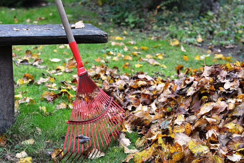 In den Herbstmonaten gibt es bekanntlich viel zu tun. Gehwege und Straßen von heruntergefallenem Laub sowie das Stadtgebiet vn Dreck befreien. Foto: utroja0/Pixabay