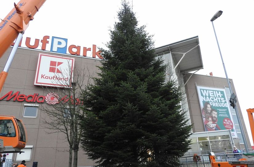 Der Weihnachtsbaum am KaufPark Nickern wird mit Hilfe eines Krans aufgestellt.