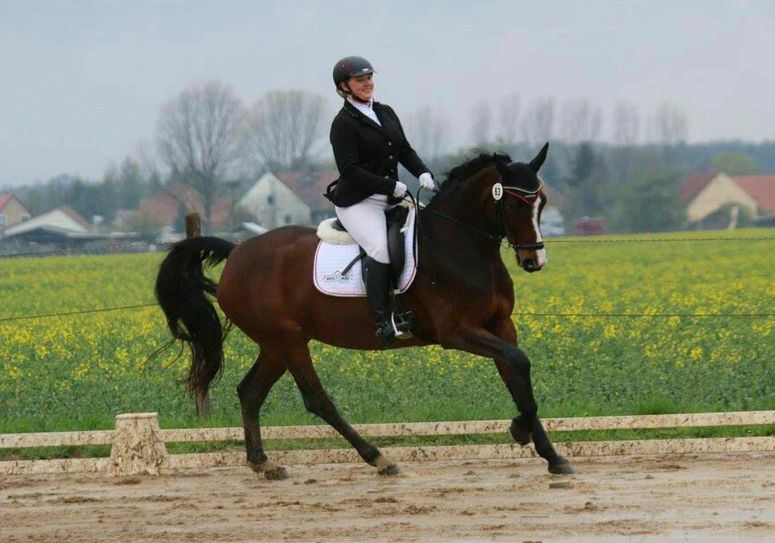 Am 22. und 23. April warten zahlreiche Dressur-, Spring- und Vielseitigkeitsprüfungen auf die Besucher der Reitanlage Tannehof. Foto: Tannehof